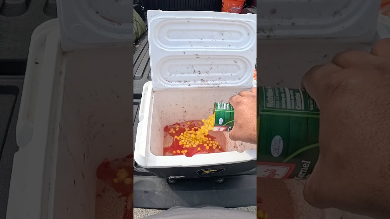 Как быстро и просто сделать дешевую наживку для карпа #рыбалка #карп #ловлякарпа