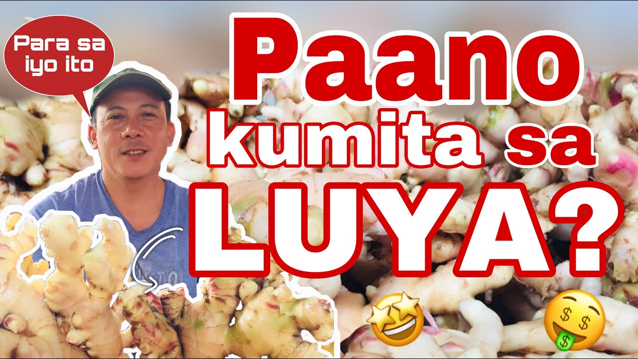 PAANO KUMITA NG MAGANDA SA LUYA? | Byaherong Batangueno
