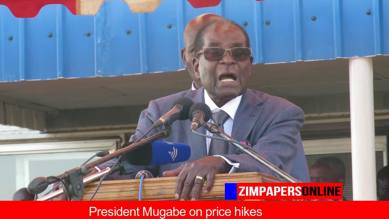 President Mugabe on price hikes
