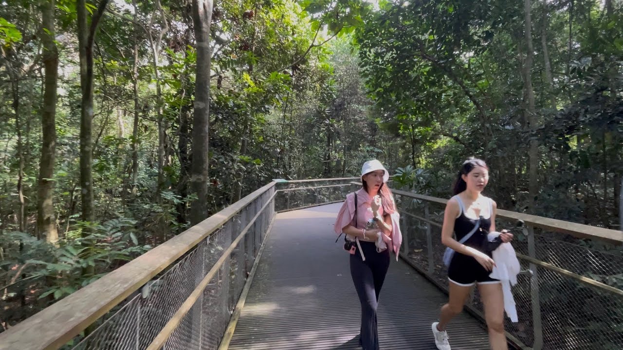 🇸🇬 Rifle Range Nature Park Walking Tour [4K 60fps]