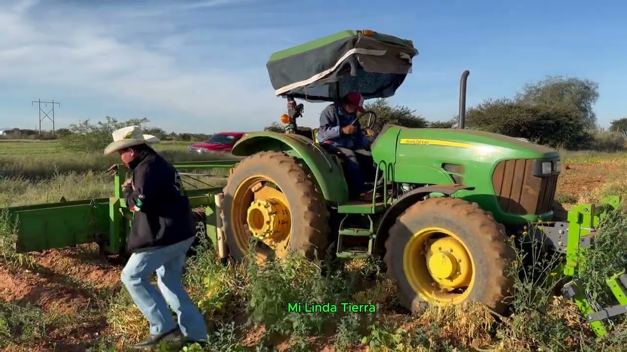 A QUI ASTA MIS HIJOS TRABAJAN Y ESTE NIÑO SI SENOS DIO MUY BUENA LOS COSECHAS DE FRIJOL
