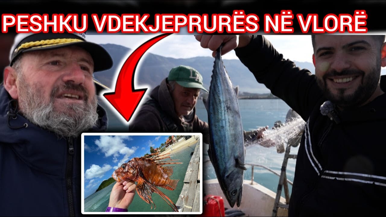 Misteret e detit, peshkatarët e Vlorës: 