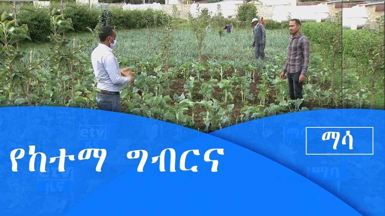 ማሳ የከተማ ግብርና