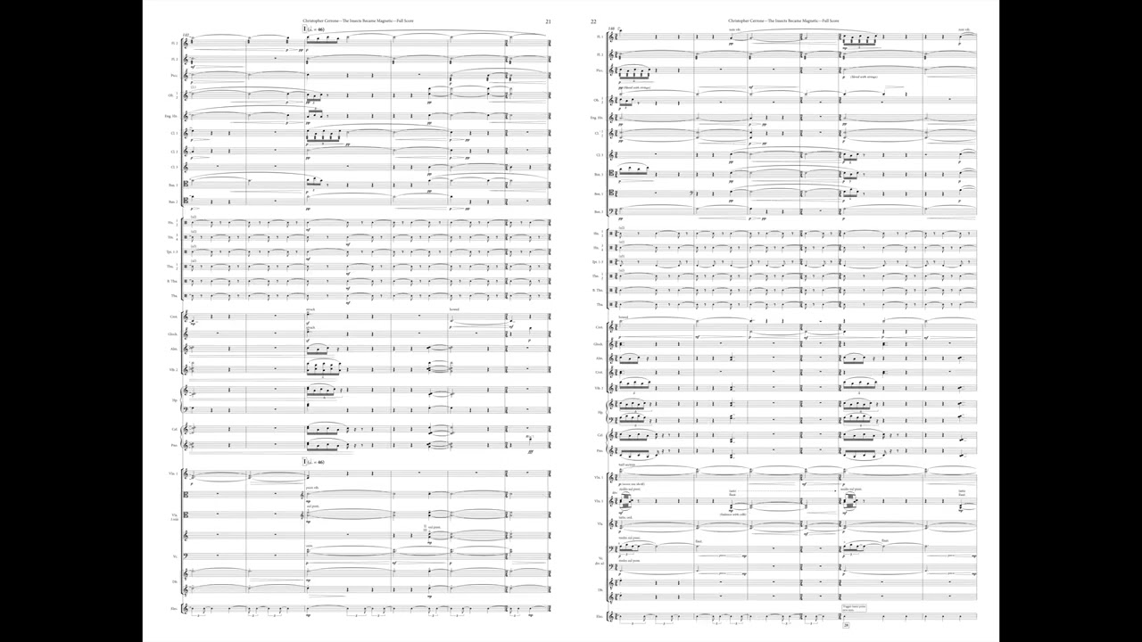 Christopher Cerrone — The Insects Became Magnetic [Score-Follow]