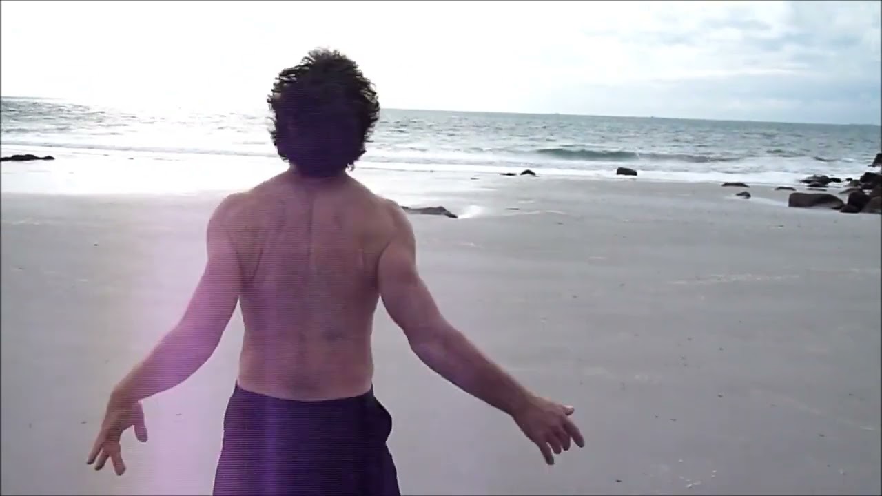 Vidéo-danse 