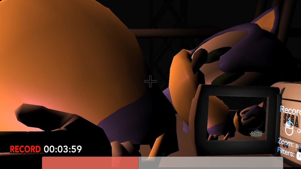 So Sonic Is Pregnant...