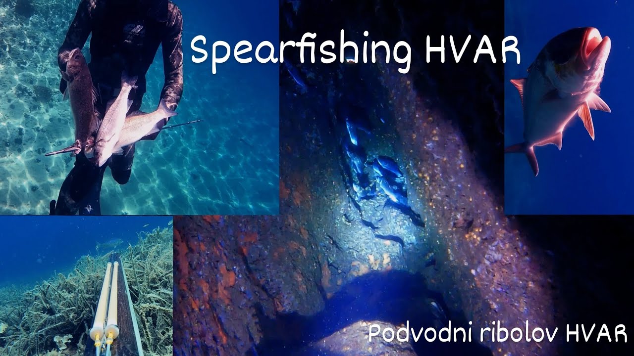 Podvodni ribolov HVAR / Spearfishing HVAR