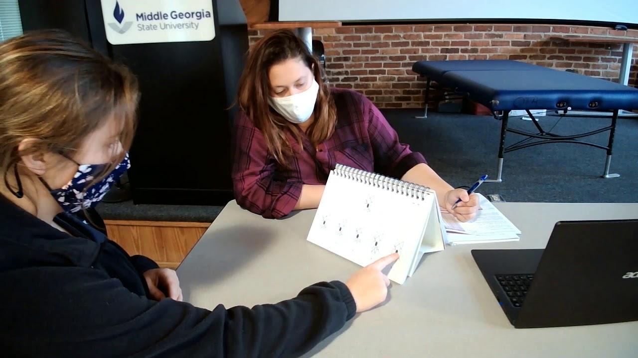 Test of Visual Perceptual Skills