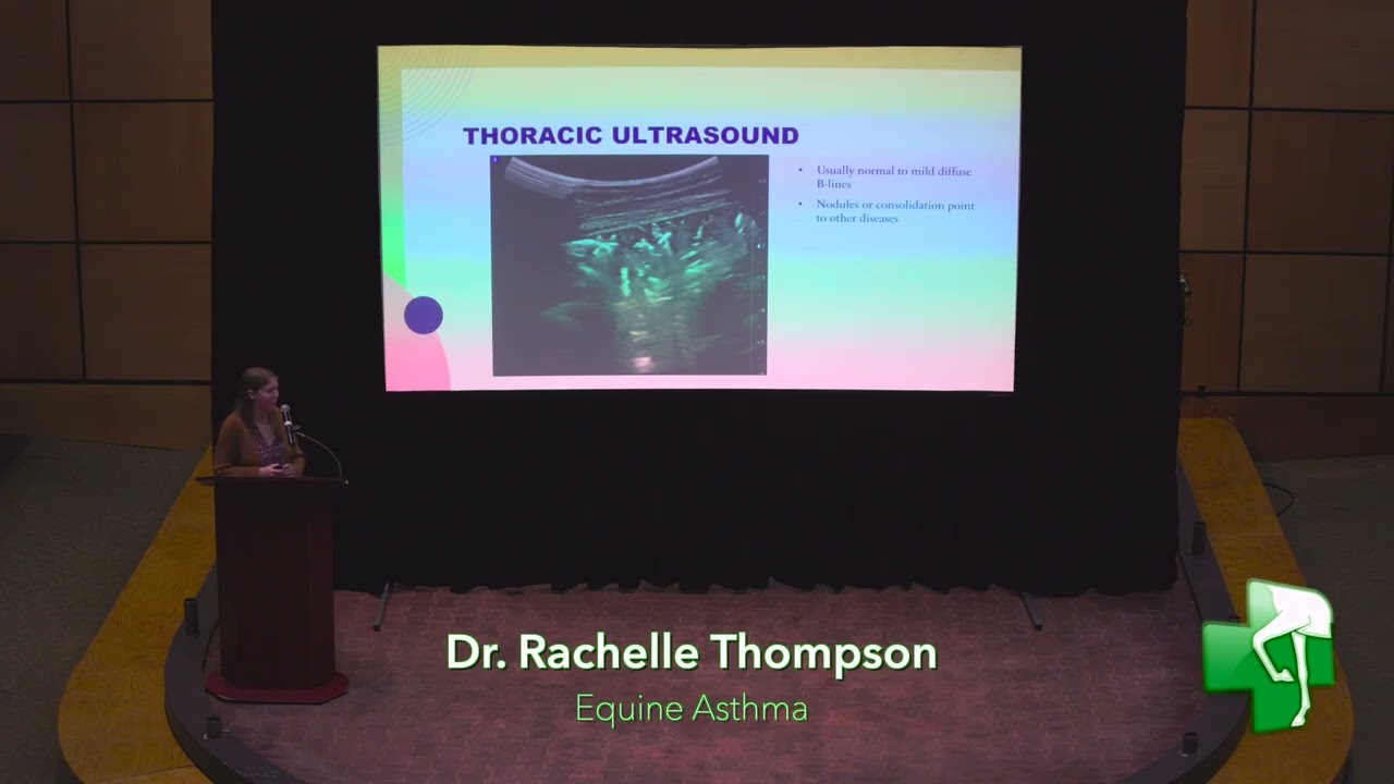 Доктор Рэйчел Томпсон, клиент RREH, издание, 2025 г.