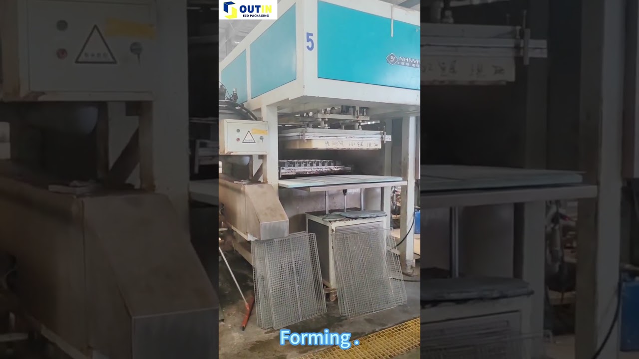 Molded pulp products processing 2:forming