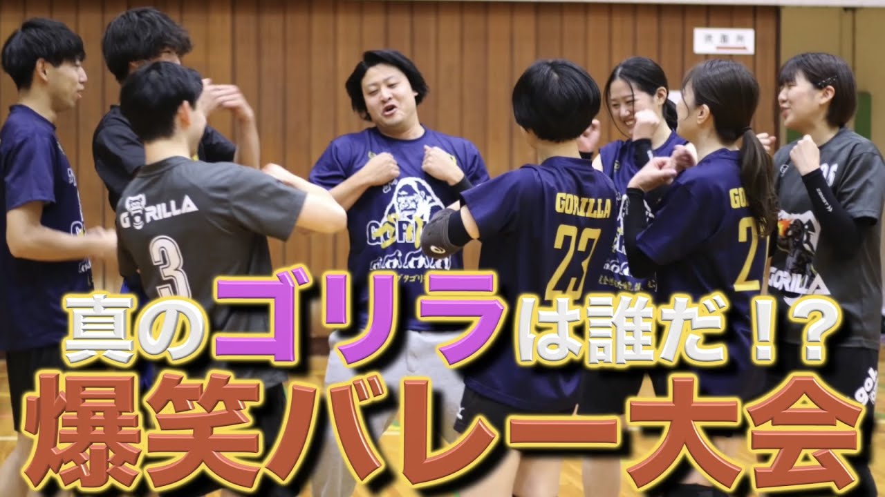 見た目と動きがゴリラだらけのバレー大会で大暴れ。