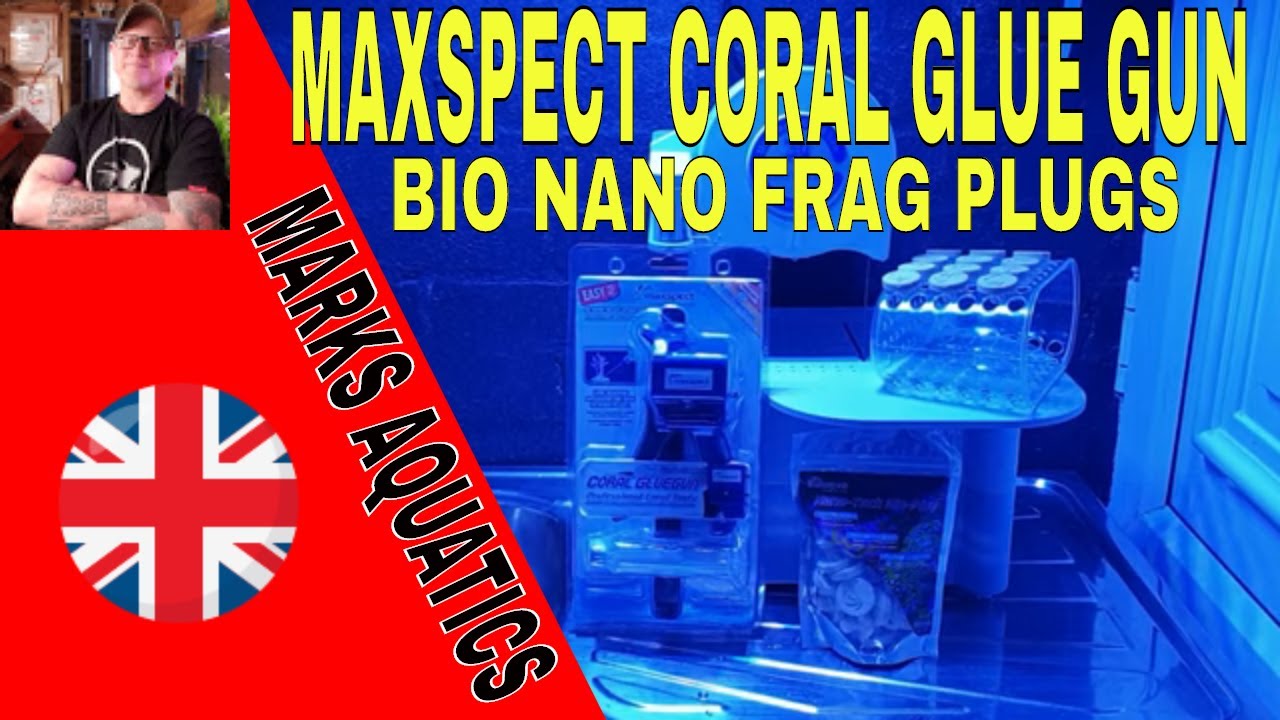 Maxspect Coral Glue Gun And Nano Tech Bio Frag Plugs. Easy!