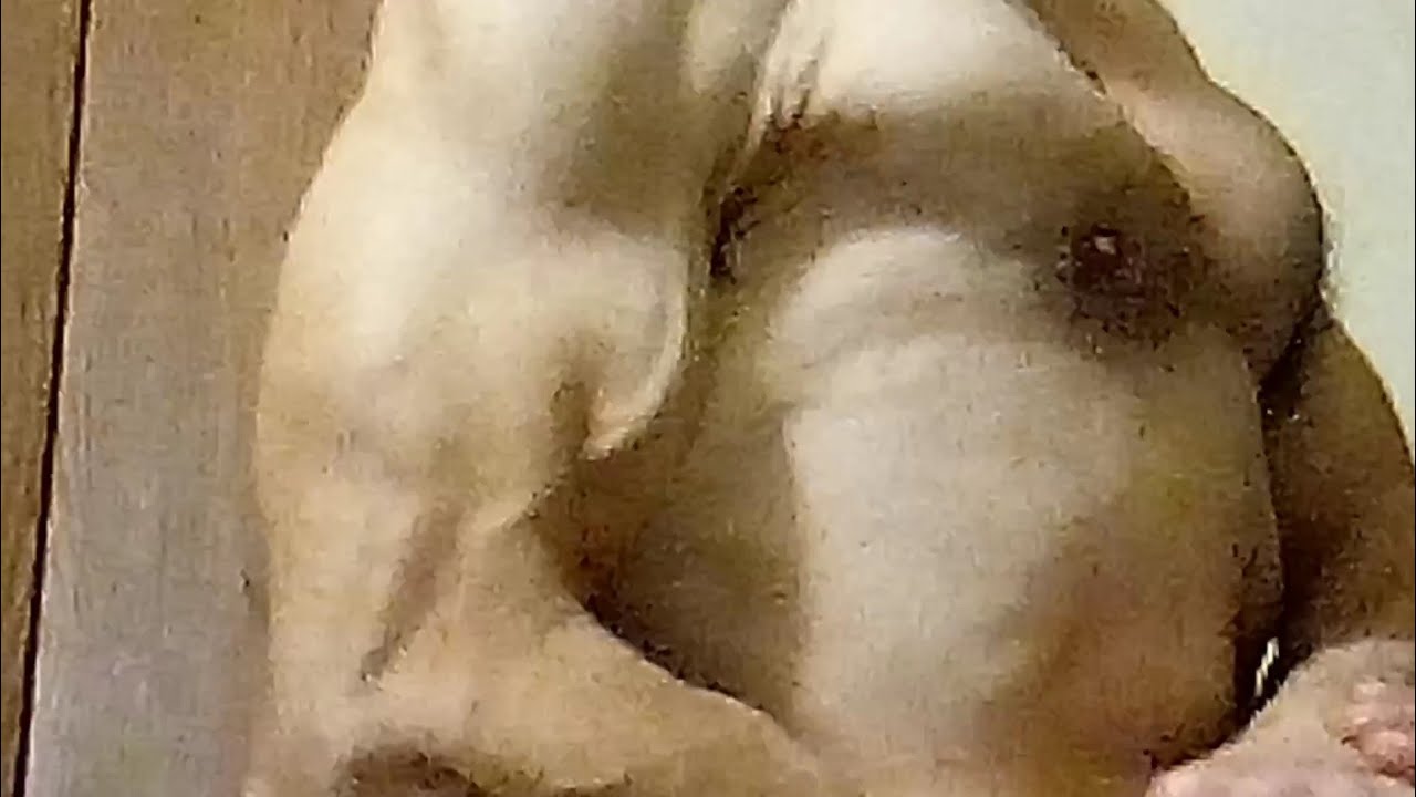   surprise roomate/ muscle art