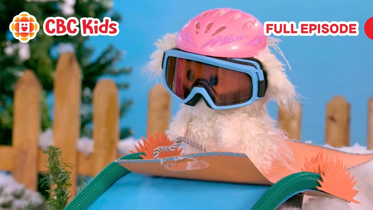 ASL Preschool Show | Sledding (Silly Paws) | CBC Kids