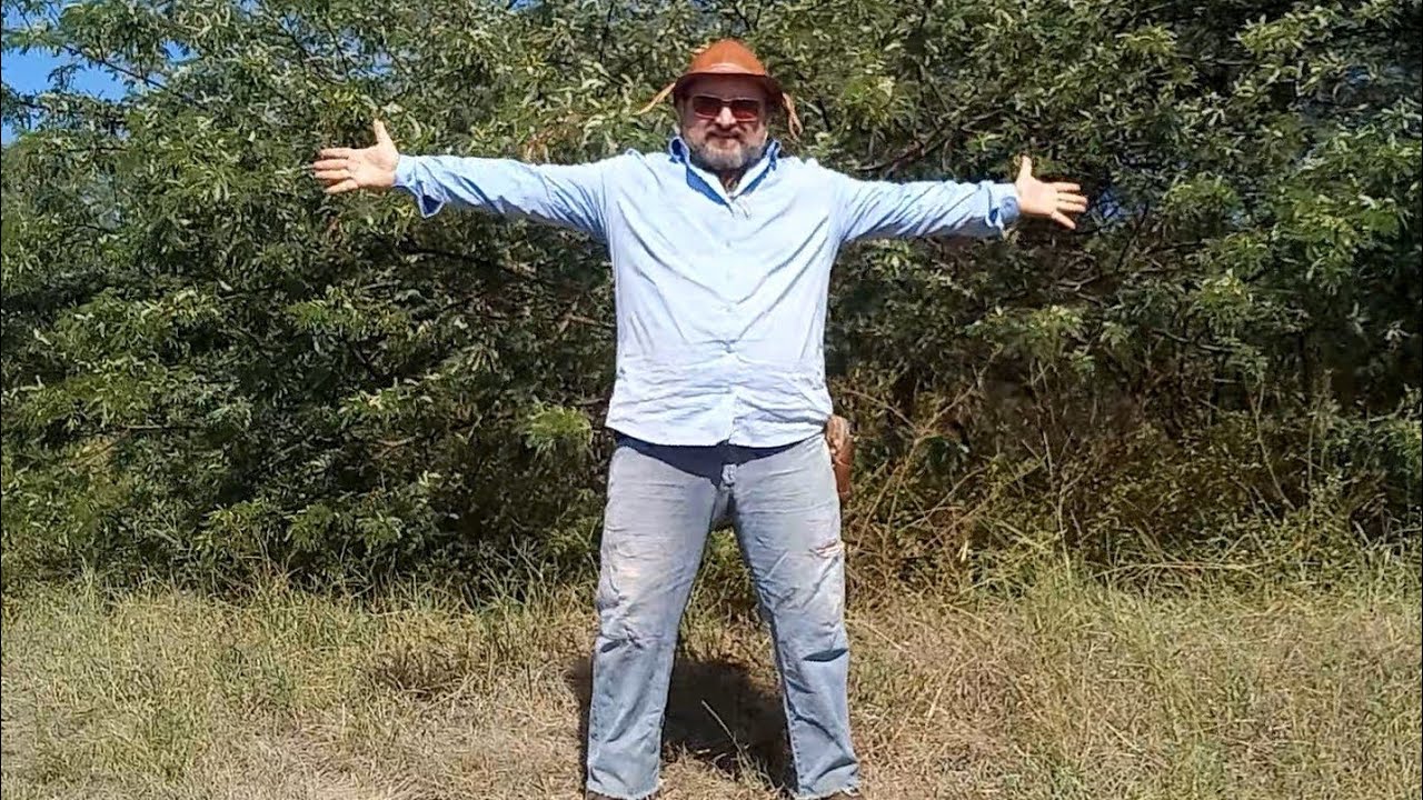 Jurema Preta - Uma preciosidade da Caatinga