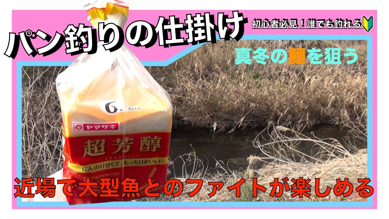 パンを使って鯉釣り【仕掛け・釣り方】