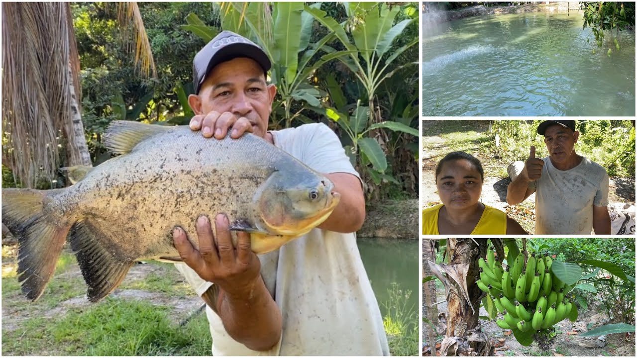 Joguei a tarrafa pra pegar um peixe e não acreditei no que apareceu pessoal.