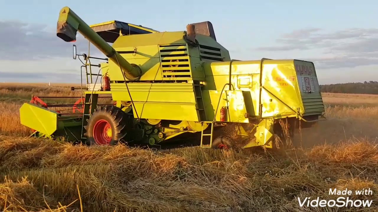 Żniwa 2019 Dominikan&oacute;wka woj. Lubelskie Claas Mercator 3.6m