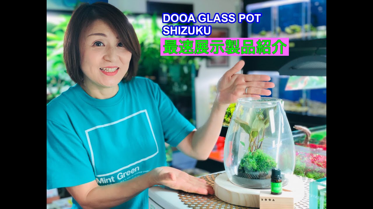 ADA DOOA　NEW製品　GLASS POT SHIZUKU のご紹介　AquaRevue Neo CH　☆Official☆