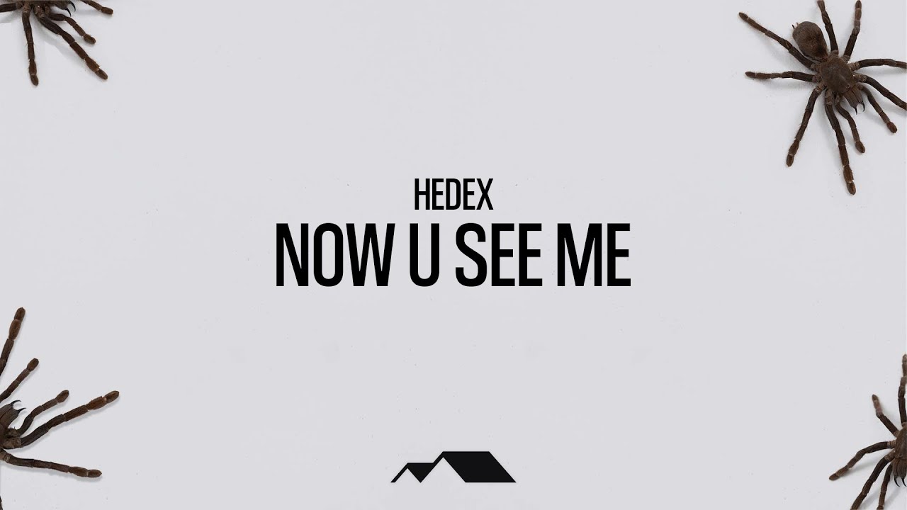 Hedex - Now U See Me