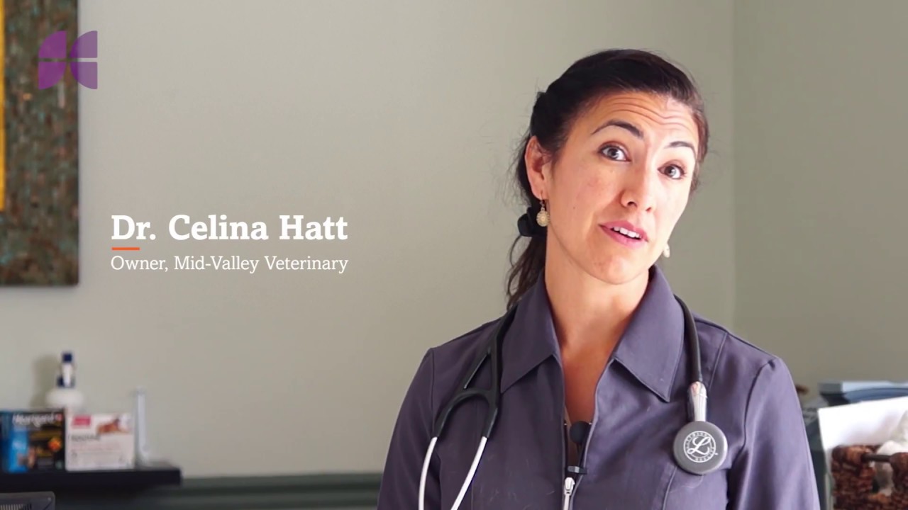 Small Business Spotlight: Mid-Valley Veterinary Hospital