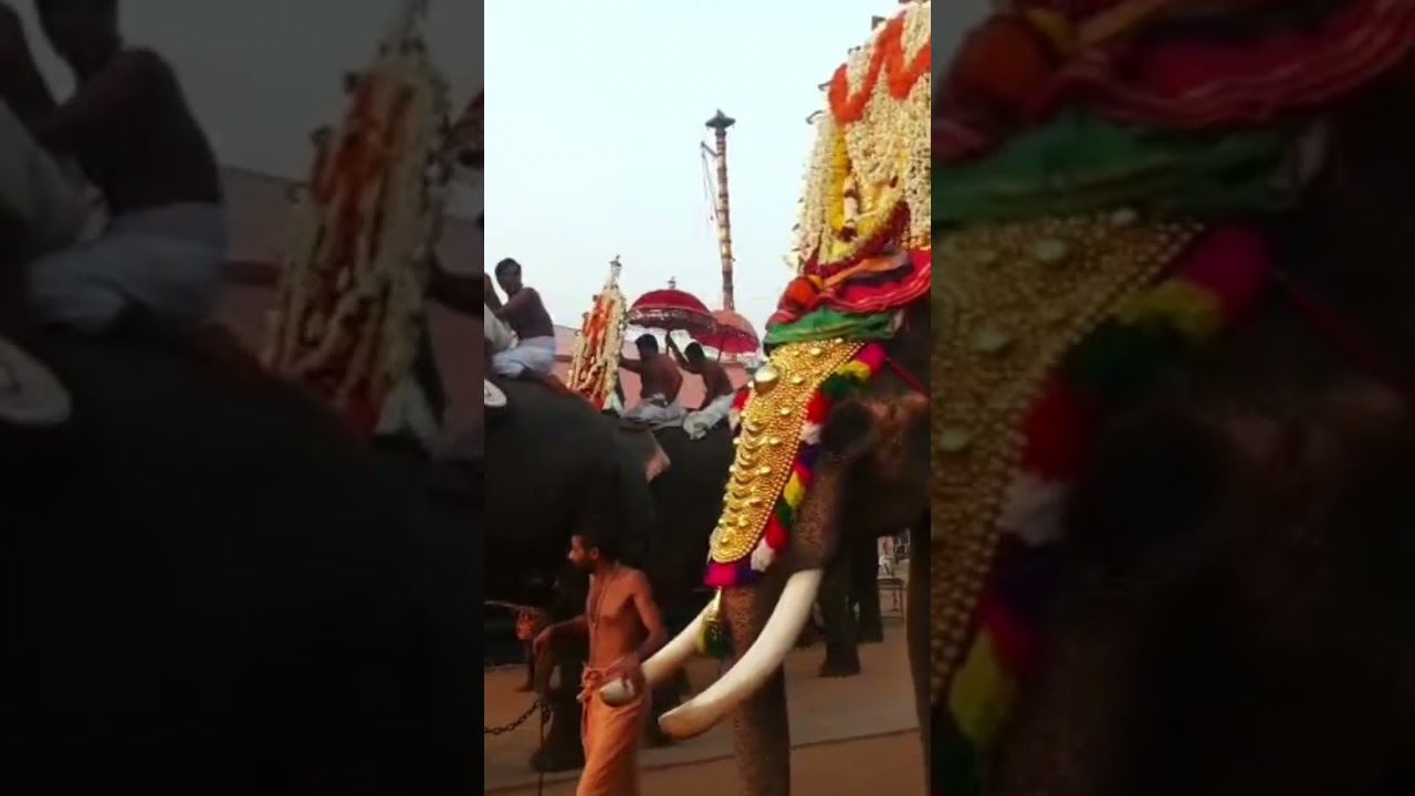 ചെങ്ങന്നൂർ മഹാദേവന്റ് കടാക്ഷം എല്ലാവർക്കും ഉണ്ടാവട്ടെ 