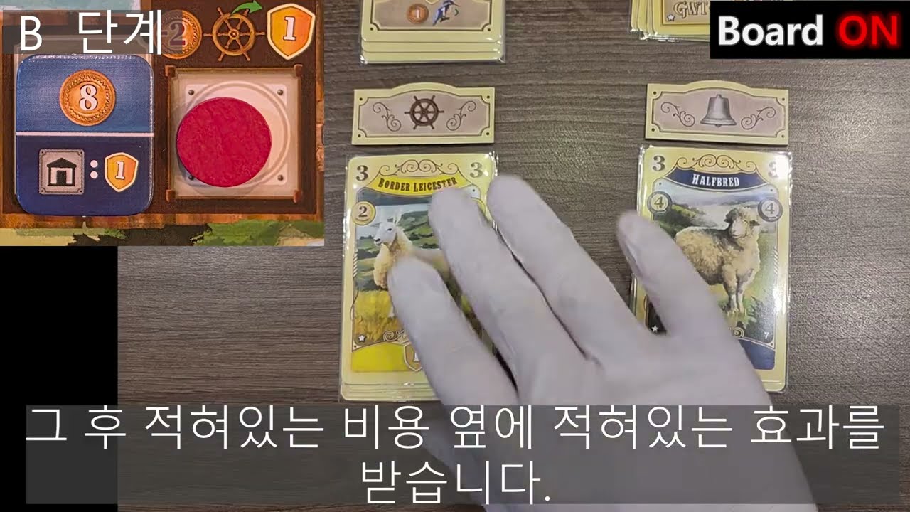 뉴웨트 규칙설명