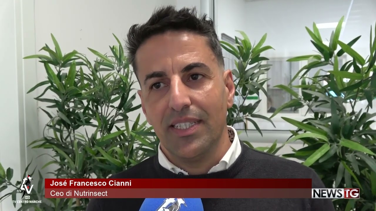Nelle Marche apre l'Academy per imparare ad allevare grilli