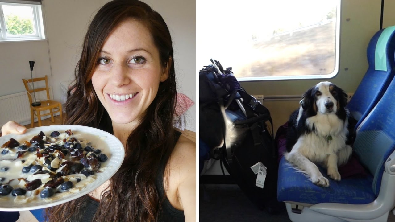 Moving To My Tiny Home | VLOG