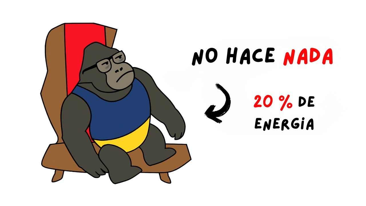 Por qu&eacute; Mono est&aacute; Cansado (Aunque No hace Nada en todo el D&iacute;a)