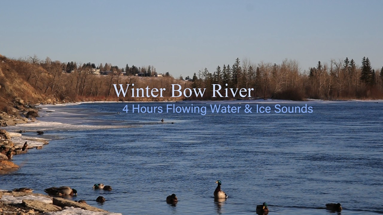 River Sounds for Sleep | Relaxing Water White Noise | Bow River Winter | 4 Hours