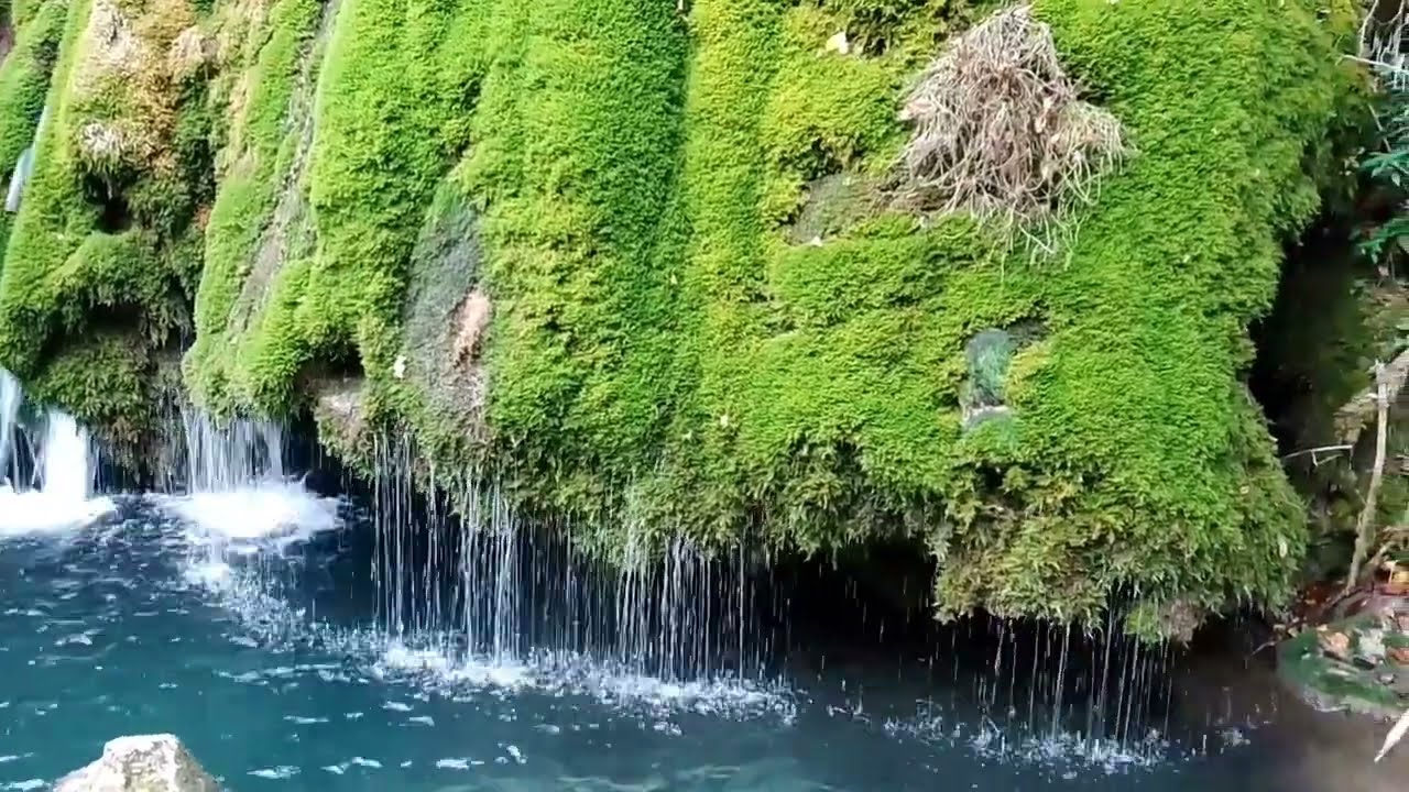 Vadu Crisului Conexiunea Cu Natura Bihor