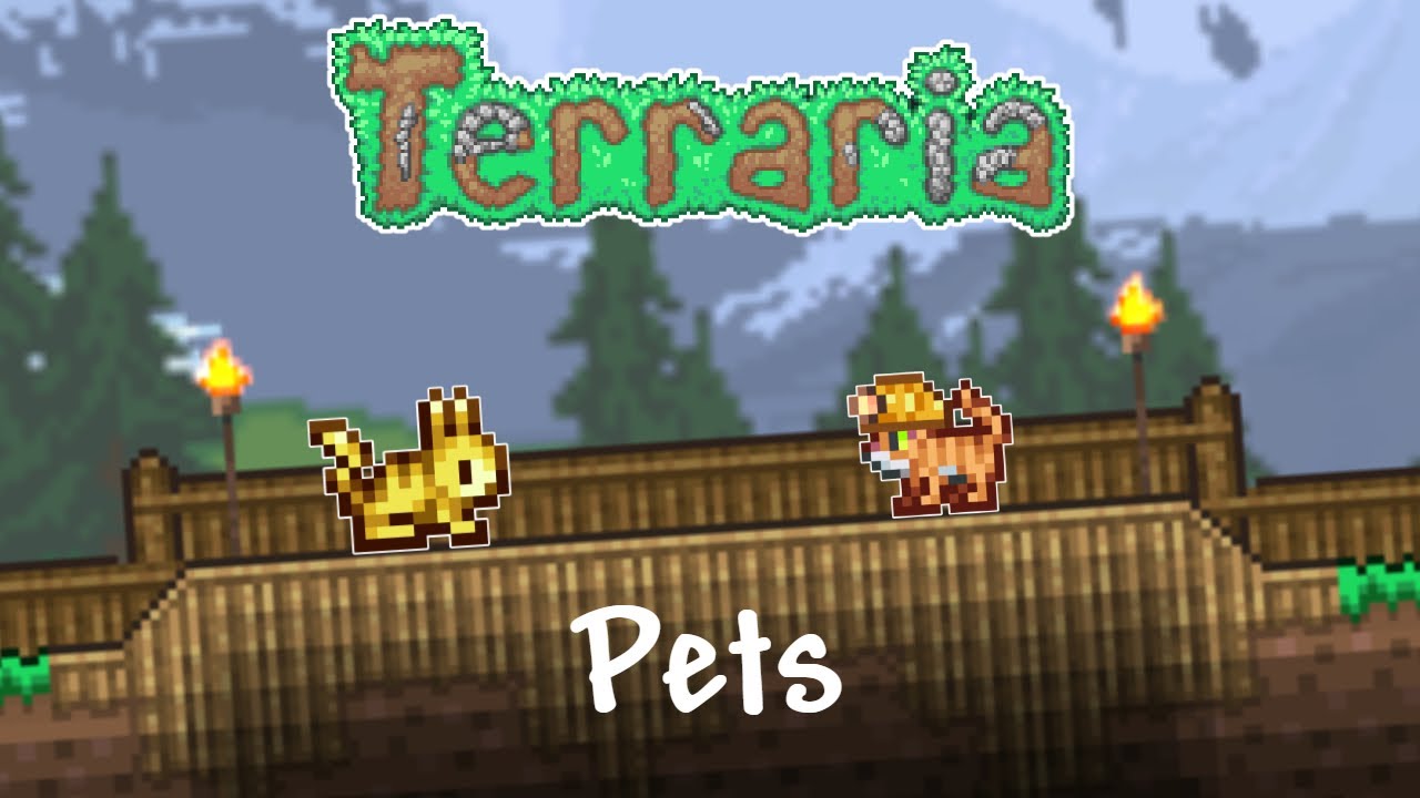 Terraria 1.4 | All Pets
