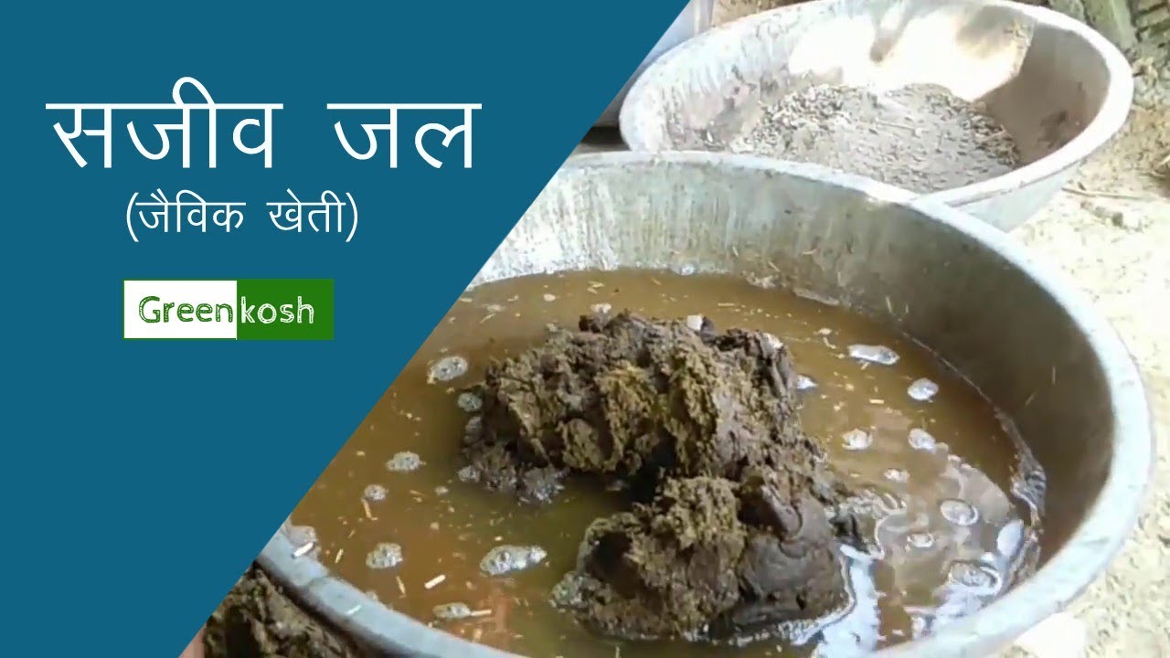 सजीव जल बनाने का सबसे असरदार तरीका - How to make Sajeev Jal - Hindi