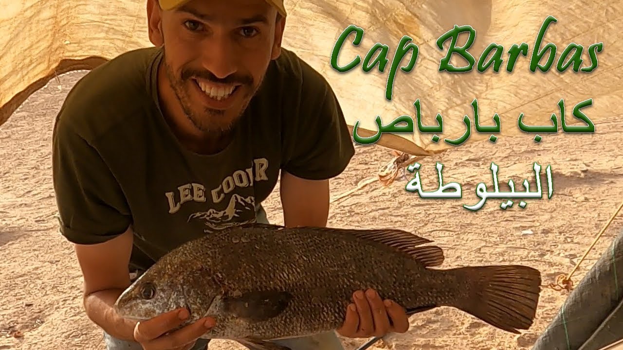 Cap Barbas - أجواء رحلة الصيد بالقصبة في اقصى جنوب المغرب مع الأصدقاء