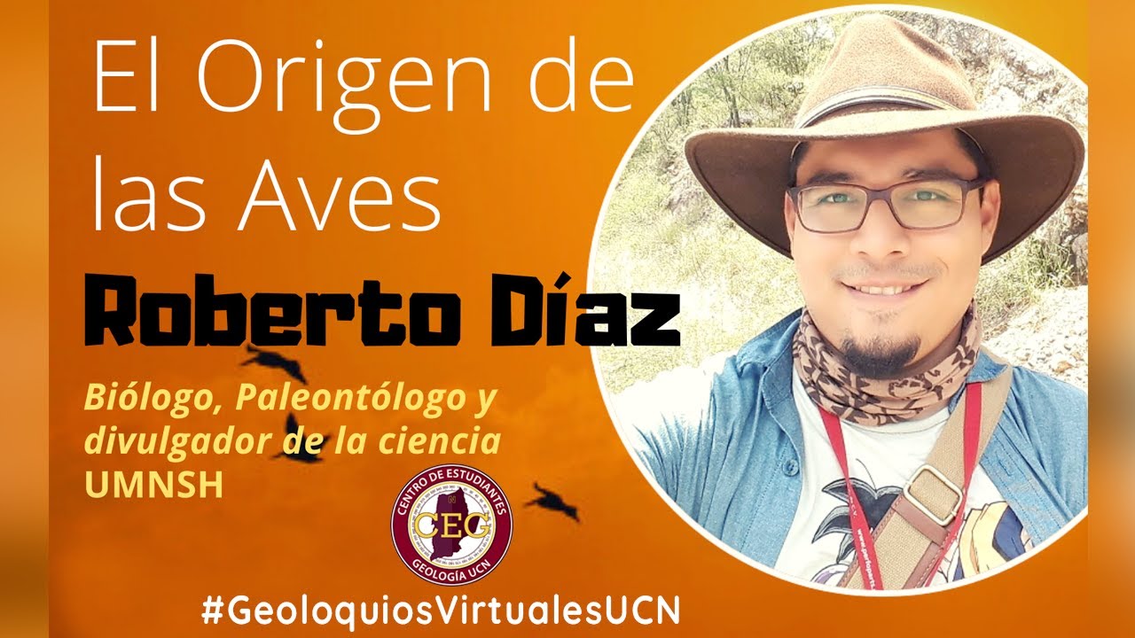 El  Origen de las Aves | Roberto Diaz S.