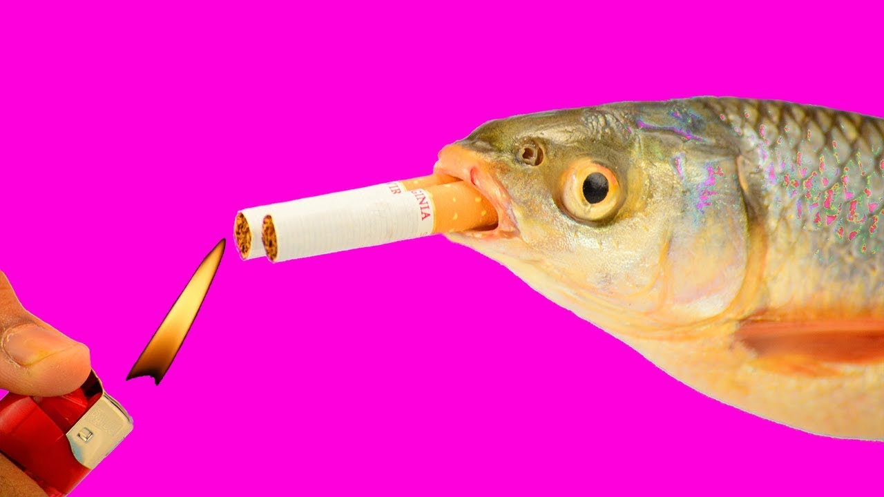 7 AWESOME LIFE HACKS THAT LOOKS CRAZY!