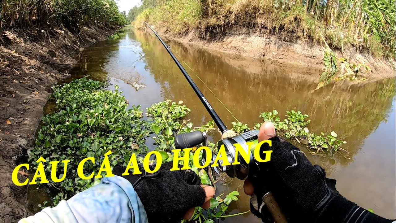 CÂU CÁ LÓC AO HOANG  -  POU PHUNG FISHING