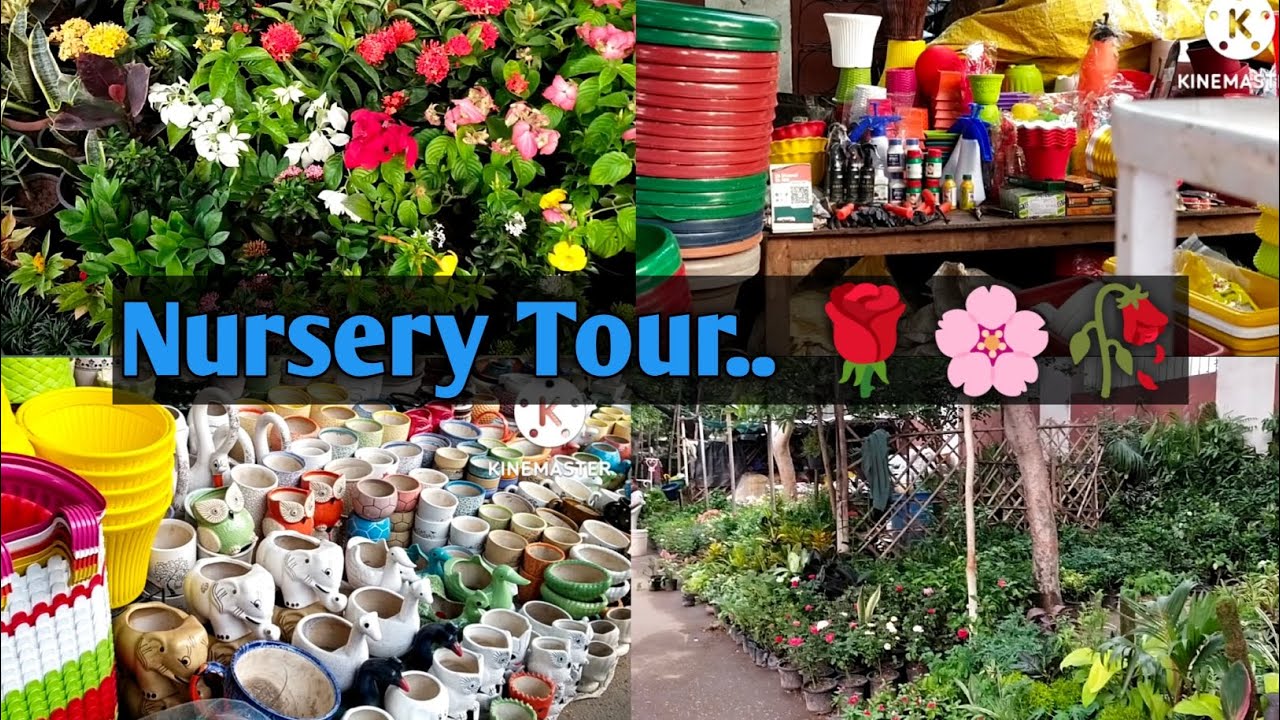 Lucknow Nursery Tour.. || Winter Plants Shopping..