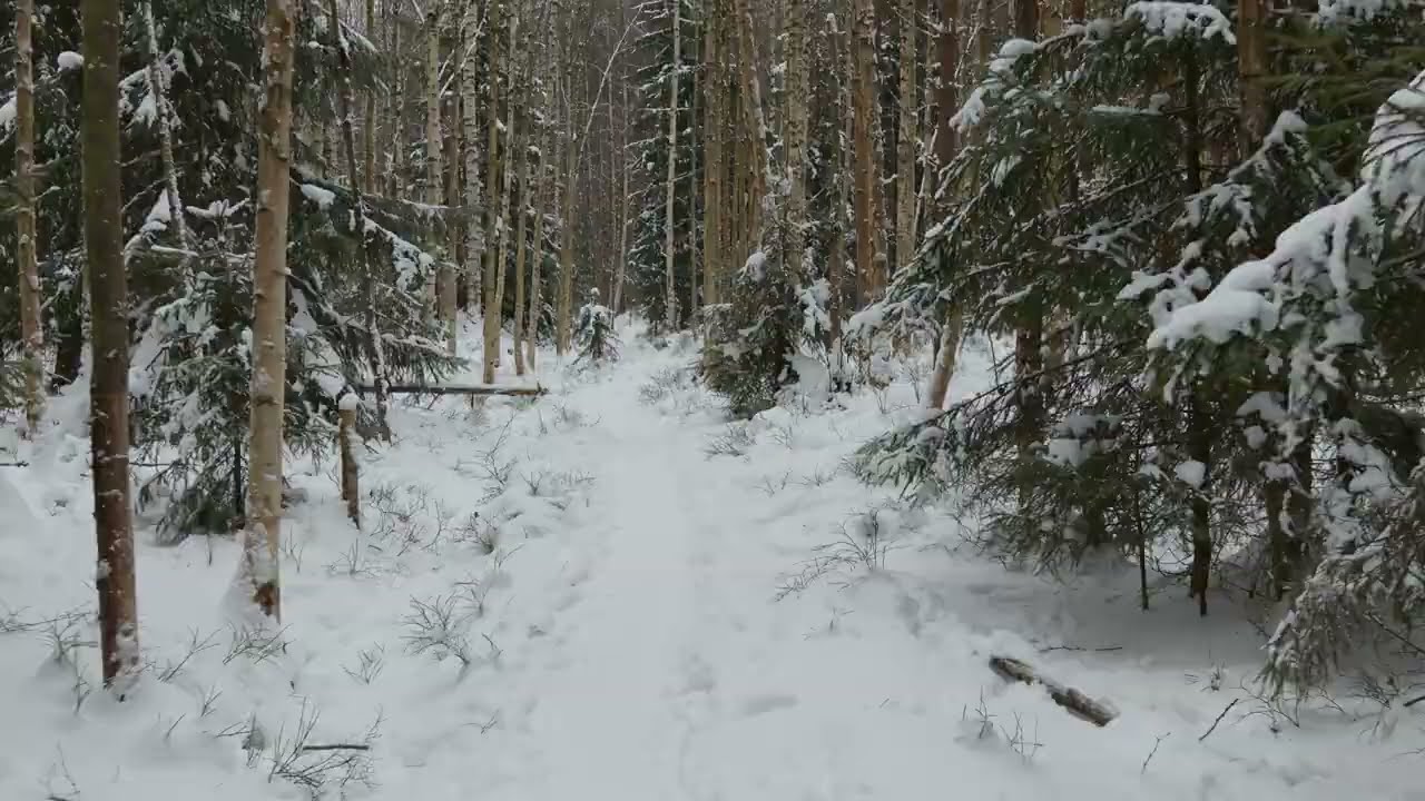 Winter relax in Metsola(Vantaa) Finland