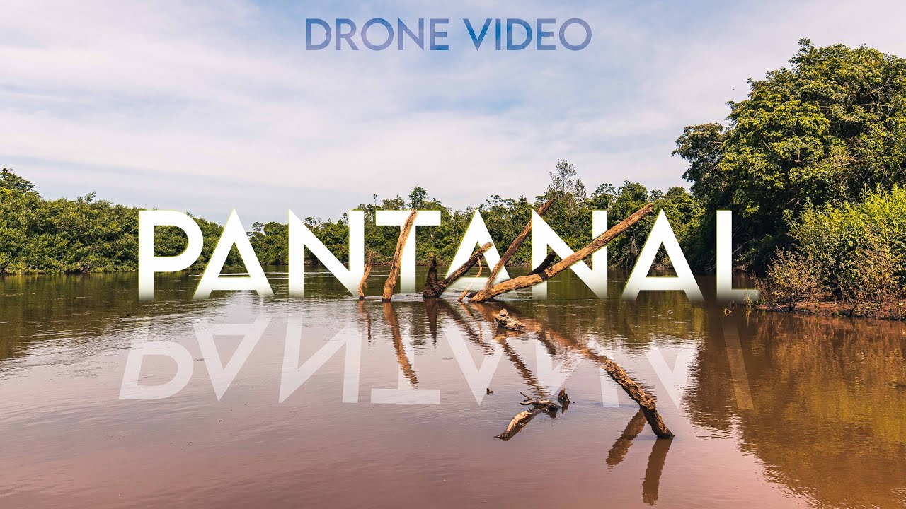 PANTANAL 4K - Imagens cinematográficas do PANTANAL SUL - Drone DJI MINI 2