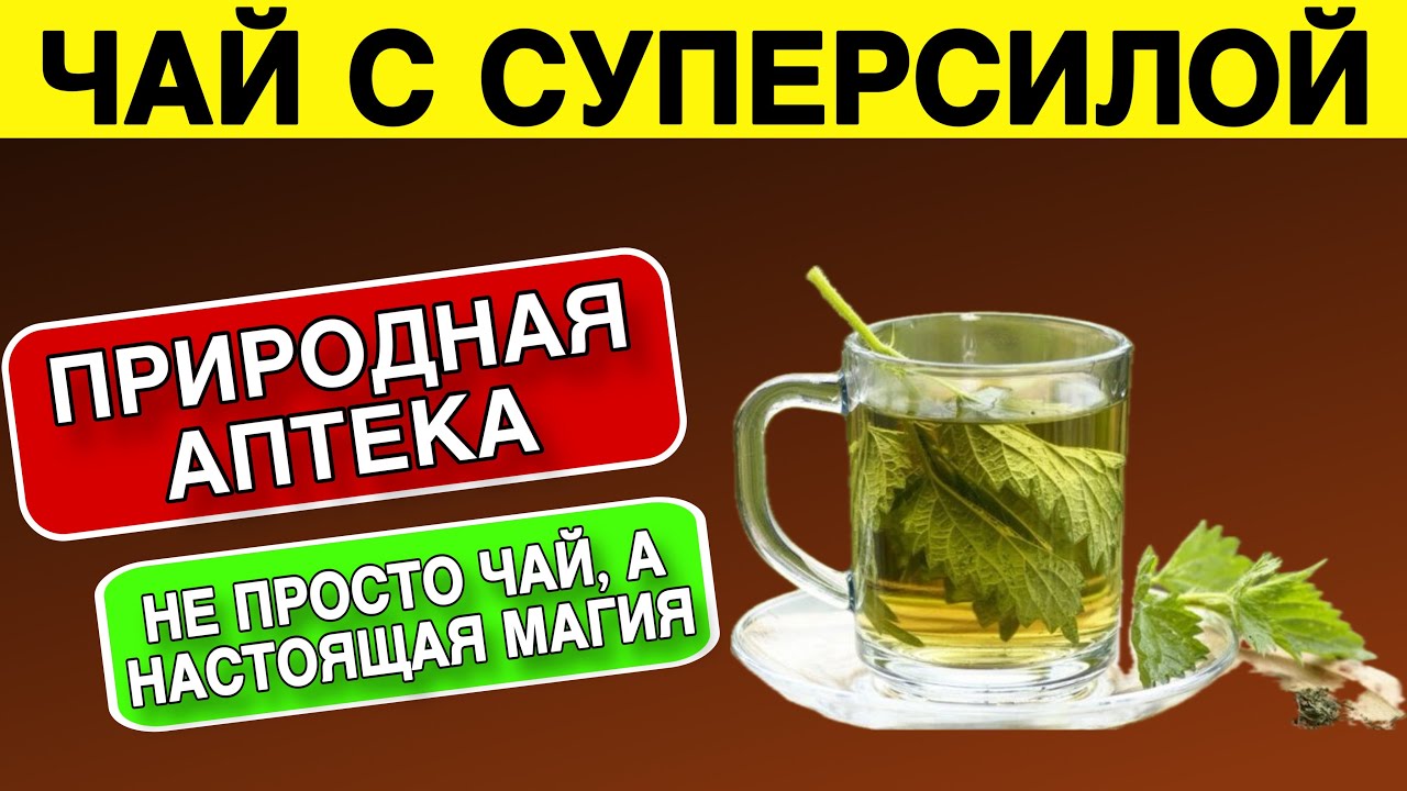 Лечебные ЧАИ, которые стоит Пить каждый день