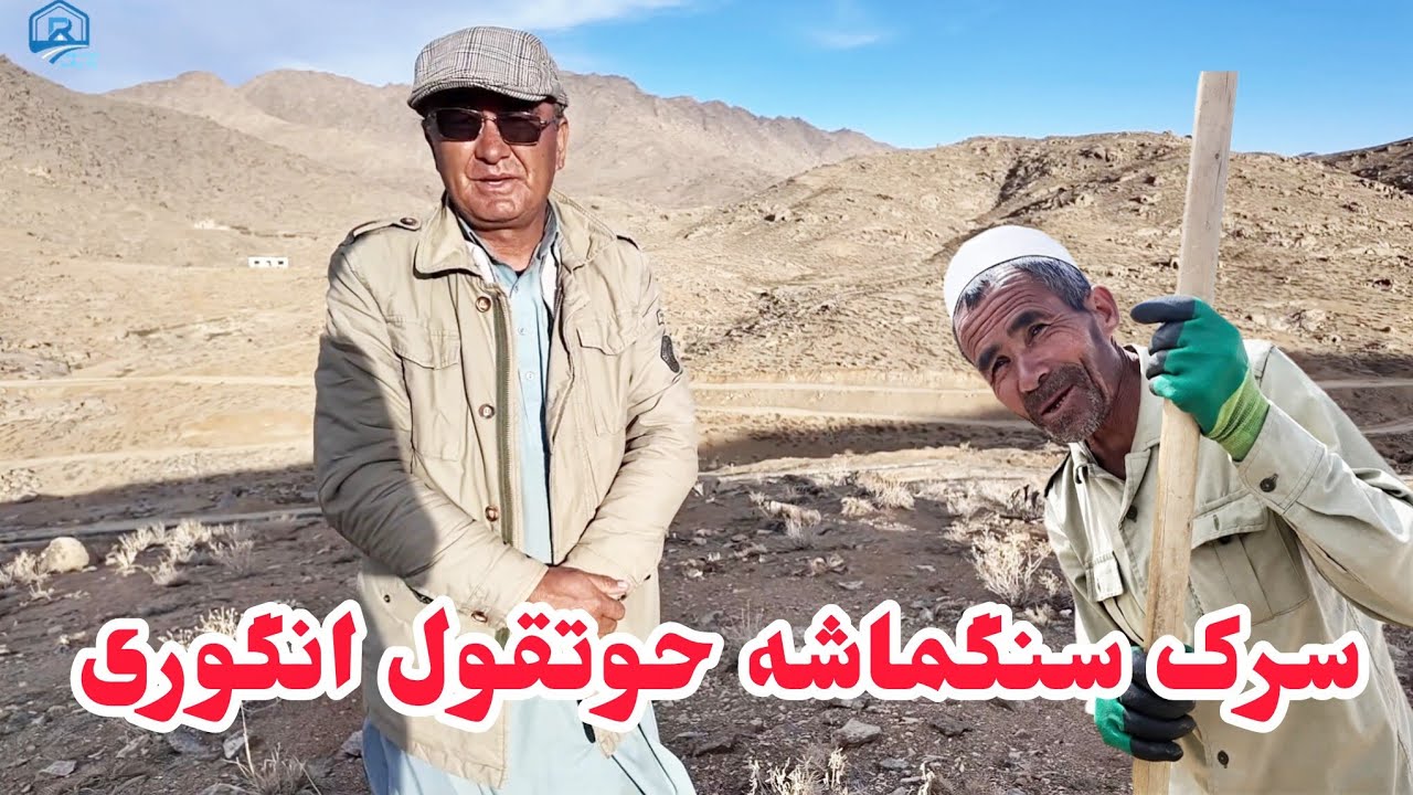 جریان های اخیر سرک سنگماشه حوتقول انگوری 
