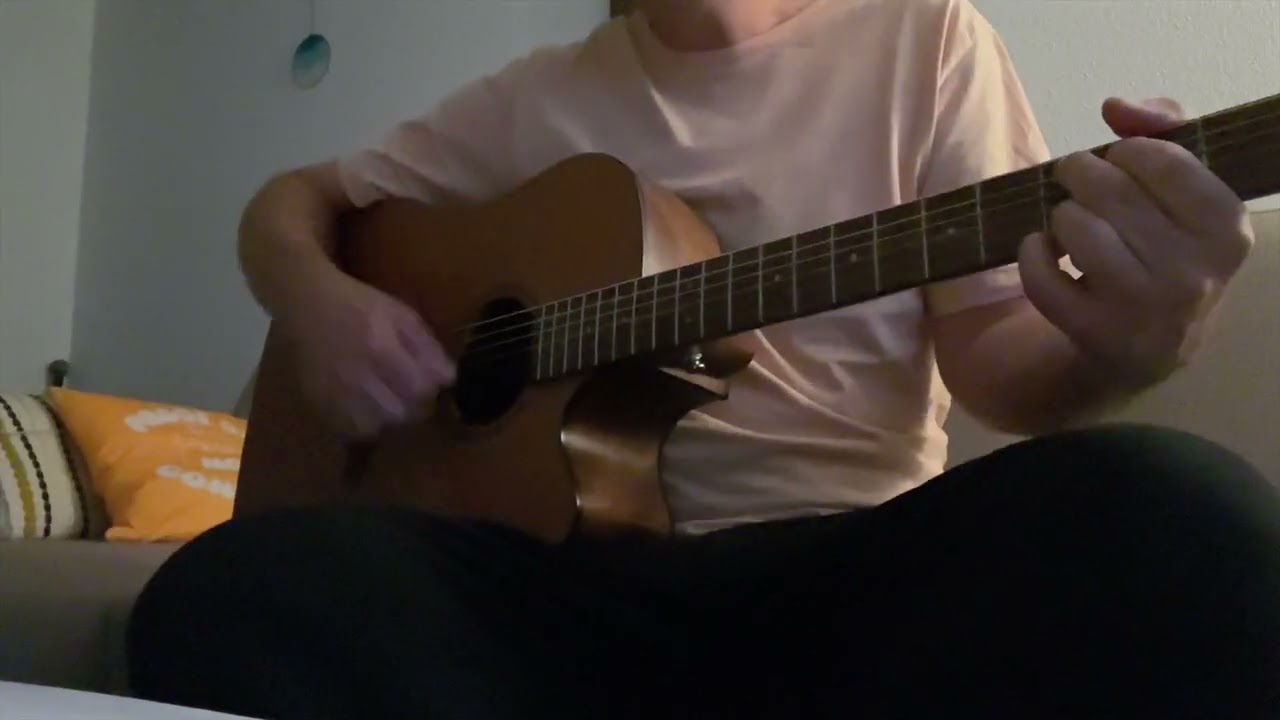 Frank Turner - The way I tend to be (Acoustic Cover, German) - So wie ich meist bin