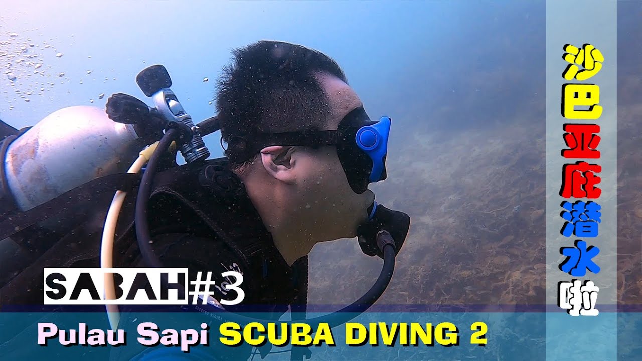 【沙巴 #3】Sabah 亚庇潜水 SDI 课程看珊瑚 ❗❗ Kota Kinabalu Pulau Sapi Open Water Diving