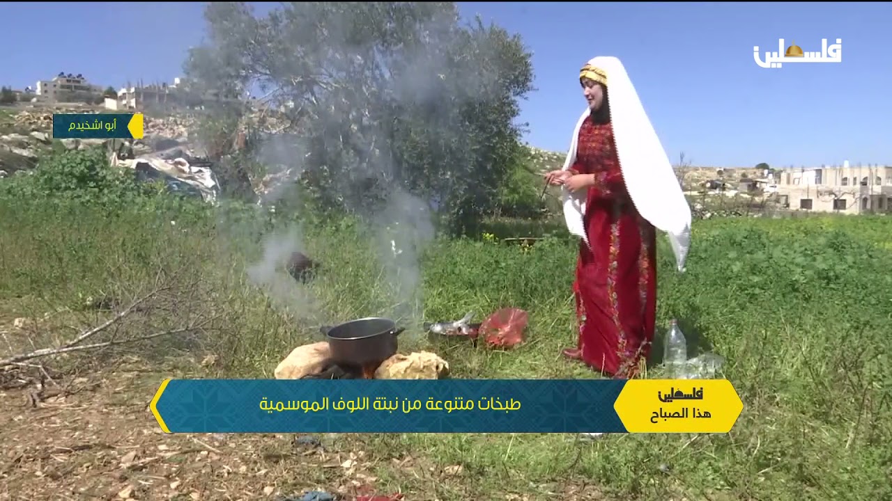 طبخات متنوعة من نبتة اللوف الموسمية