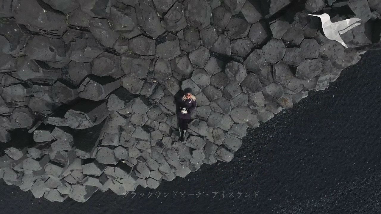 『この地球に山や森は存在しない』 （特別映像）