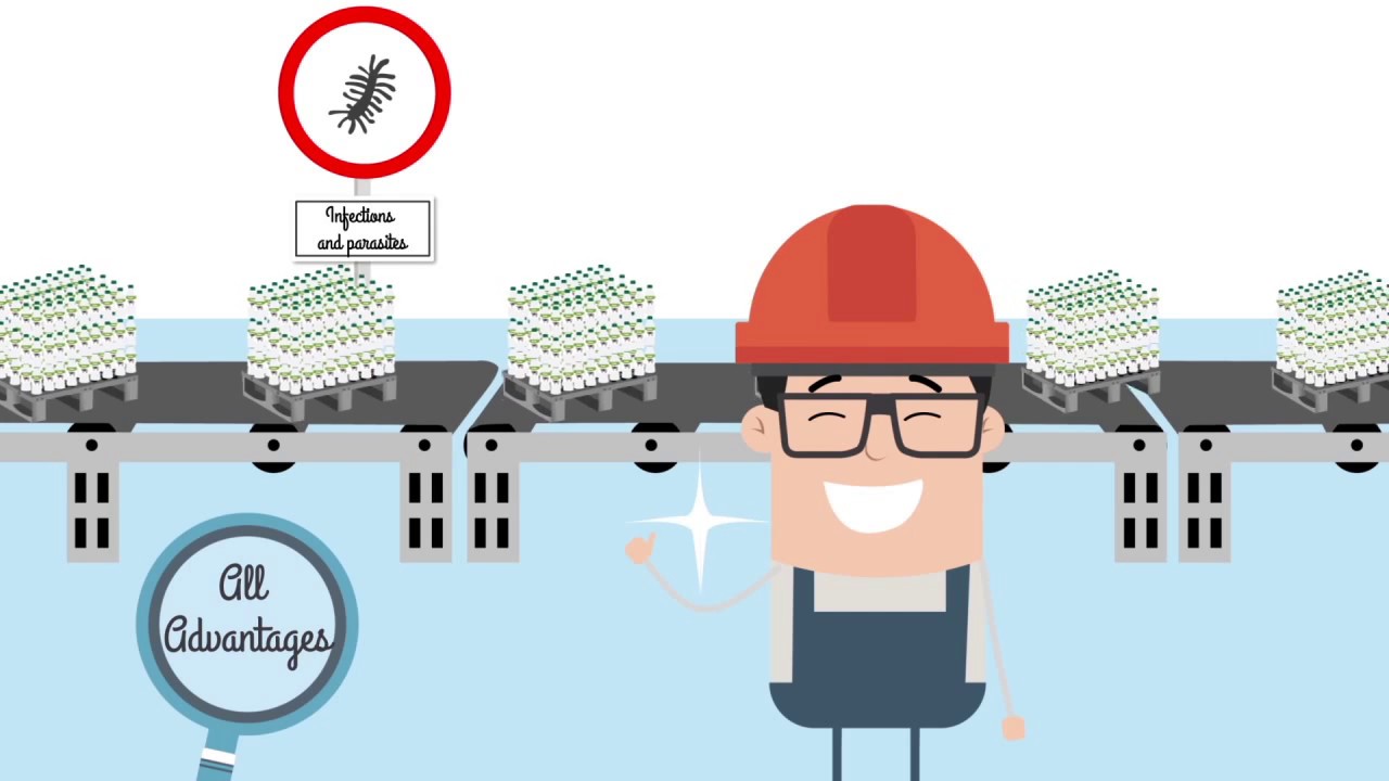 Sustainability of Plastic Pallets in the Supply Chain
