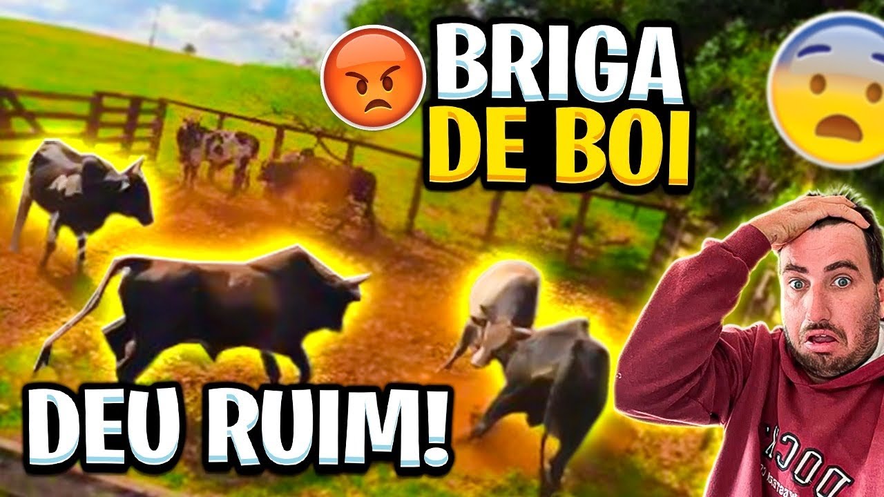PRAGA DE SOGRA ARREPIOU NO PAU OS BOI NOVO