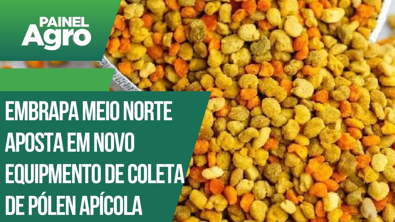 Embrapa Meio Norte aposta em novo equipmento de coleta de pólen apícola